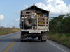 Trip to Yucatan
